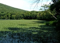 Strava 사이클리스트 프로필 | Tobi Lanciano🇮🇱