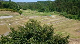 Strava 사이클리스트 프로필 | Rudy ル.