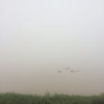 Strava 달리기 선수 프로필 | Ploy J.