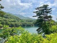 52.5 km Ride Activity on June 10, 2024 by scoho on Strava 왕숙천 - scoho  s 52.5 km bike ride