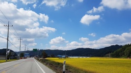 Strava에서 [Velopic]쫑 최.님이 2017년 10월 9일에 수행한 66.2km 라이딩 활동 임실 투어 - [Velopic]쫑 최.s 66.2km bike ride