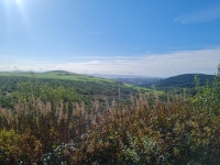 18.0 mi Mountain Bike Ride on September 23, 2023 by Jonny H on Strava Mynydd Mallaen - Jonny Hs 18.0 mi mountain bike ride