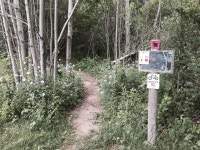 Strava 사이클리스트 프로필 | Kim T.