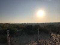 Strava 달리기 선수 프로필 | Julia M. de Waard
