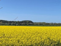 Strava 사이클리스트 프로필 | Bastian Bczy Strava 사이클리스트 프로필 | Bastian  Bczy