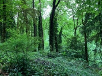 Strava에서 Andy S.님이 2019년 5월 17일에 수행한 6.8mi 달리기 활동 Evening Run - Andy Suiters 6.8mi run