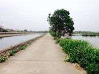 Strava 달리기 선수 프로필 | Huy N.