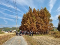 Strava에서 표소연 [.님이 2022년 10월 29일에 수행한 115.4km 라이딩 활동 곡성- 화순 단풍~ - 표소연 [.s 115.4km bike ride