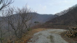 허 상구천안 | Strava를 사용 중인 사이클리스트