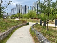 Strava Walk Activity 점심 걷기 - [DYO] 두s 0.9 km walk