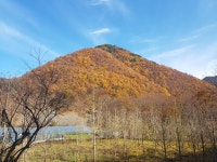 Strava 사이클리스트 프로필 | 재윤 신.