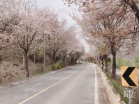 Strava 사이클리스트 프로필 | [Sbr] 달.