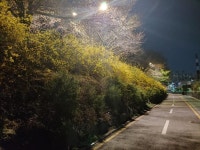 Strava 사이클리스트 프로필 | 김충식 ☔