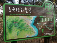 Strava 사이클리스트 프로필 | 천상어 準.