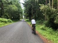 Strava에서 Kelly Y.님이 2019년 7월 15일에 수행한 20.0mi 라이딩 활동 Afternoon Bike Tour - Kelly Yelvertons 20.0mi bike ride