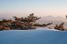 Strava 하이킹 활동 #2022.02.02 수락산 : 석림사-기차바위-주봉-석림사 w.혜원/지수/사야 - Hyo-jeong Lees 7.1km hike