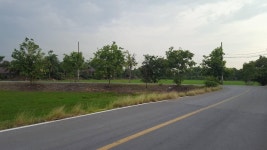 Strava 사이클리스트 프로필 | Pong C.