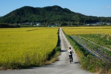 117.0 km Ride Activity on October 2, 2023 by JONG-IL P on Strava Morning Ride - JONG-IL Ps 117.0 km bike ride