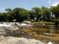 Strava 달리기 선수 프로필 | Luciana Tonelli