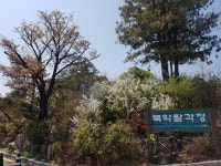 Strava 사이클리스트 프로필 | Jae Ho K.