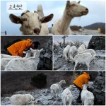 Strava 하이킹 활동 Morning Hike - [ 나 짱 ]s 22.5km hike