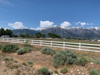 Strava 달리기 선수 프로필 | Tyler Sickler