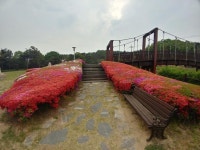 Strava에서 충남 예산 김 성.님이 2017년 5월 5일에 수행한 31.5km 라이딩 활동 딸과 놀기전 예당한바퀴 - 충남 예산 김 성민s 31.5km... 