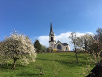 Strava 달리기 선수 프로필 | Michael A.