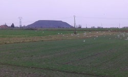 Strava 달리기 선수 프로필 | Alain L.