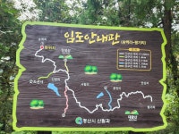 DJ Kim | Strava Cyclist Profile