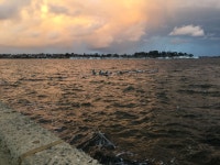 Strava 사이클리스트 프로필 | Liz A.