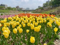 Strava Walk Activity Lunch Walk - 현블리 🎀s 3.8 km walk