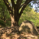 65.5 km Ride Activity on May 1, 2017 by 🐖 주 on Strava 마티고개 - 🐖 주s 65.5 km bike ride