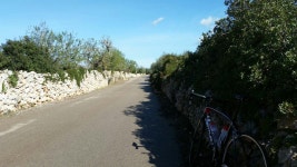 Ernscht Moscht | Strava를 사용 중인 사이클리스트