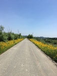Strava에서 최중갑 [.님이 2018년 6월 1일에 수행한 46.5km 라이딩 활동 덥다 ㅠㅠ - 최중갑 [Team Machine] / [On the Road]s 46.... 