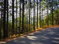 Strava 사이클리스트 프로필 | OKA KEN