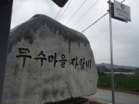 Strava 사이클리스트 프로필 | Gyeongsu C.