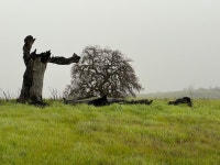 Strava 사이클리스트 프로필 | Sterling Watson