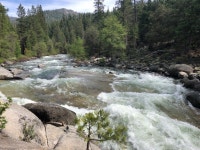 Strava 하이킹 활동 Mariposa Grove: Seeing the big ones! - Bonnie Abbzugs 5.8mi hike