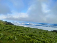 5 Côtes Noiry alternées Classique/Fontaine: ↗️411/433/409/435/405 ↘️243/302/238/308 - Fabien Ls 12.8 km run