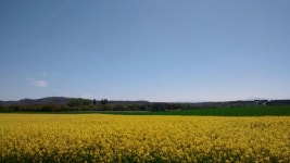 Unai Agirre | Strava를 사용 중인 사이클리스트