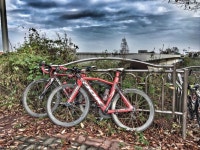 Strava에서 임스(Lim’s) 임.님이 2015년 11월 15일에 수행한 140.0km 라이딩 활동 50km 부족한 임실 라이딩 ~~^^;; - 임스(Lim’s)... 