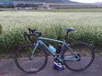 Strava에서 효긔^^ 뱡.님이 2015년 9월 19일에 수행한 72.7km 라이딩 활동 북천코스모스 솔라 - 효긔^^ 뱡키s 72.7km bike ride