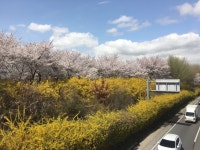 Strava 사이클리스트 프로필 | Gilbert A.