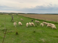 75.3 km Ride Activity on August 15, 2023 by Stefan B. on Strava Einmal durch den Sandkasten - Stefan B.s 75.3 km bike ride