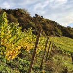 Strava 사이클리스트 프로필 | david bijmoer