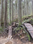 Strava에서 Single S.님이 2022년 5월 13일에 수행한 11.8km 산악 자전거 라이딩 Friday night forest chillin w/ Dan 🤙... 