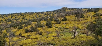 Strava에서 Joe L.님이 2022년 10월 9일에 수행한 24.3km 라이딩 활동 Morning Ride - Joe L.s 24.3km bike ride