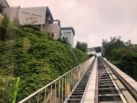 Strava 걷기 활동 점심 걷기 - 남산오르미 탑승 - 업힐왔서녕 Lee Sunnys 2.0km walk