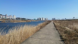 Strava 사이클리스트 프로필 | 최 종.